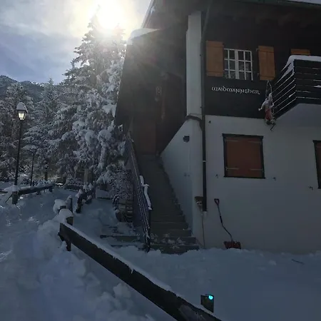 Waidmannsheil Mit Schoener Aussicht