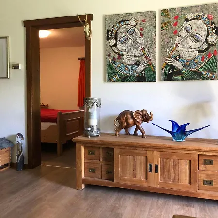 Waidmannsheil Mit Schoener Aussicht Appartement Grächen