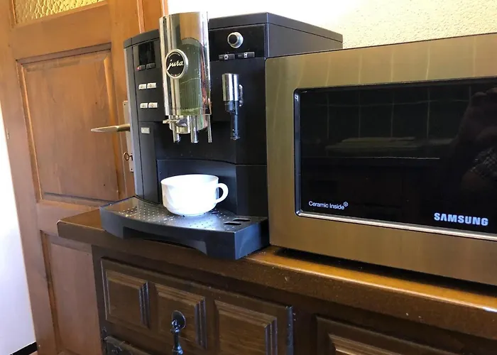 Waidmannsheil Mit Schoener Aussicht Apartment Grachen