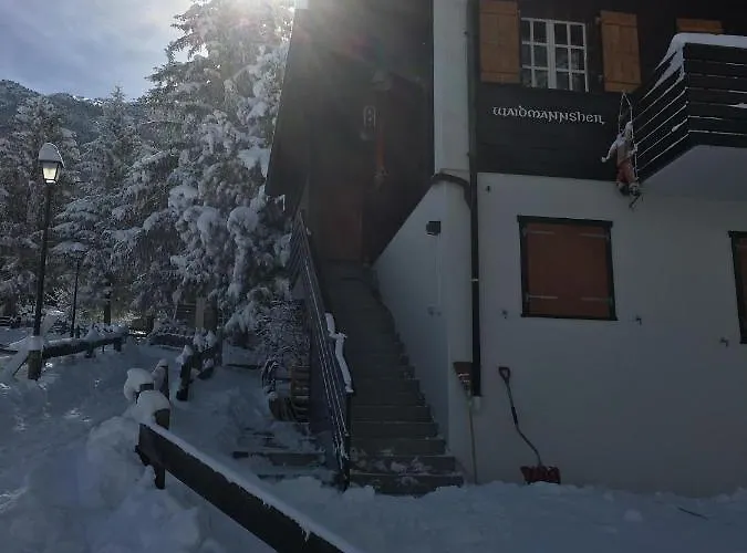 Waidmannsheil Mit Schoener Aussicht